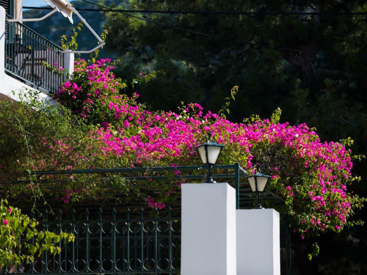 Casa Buganvilla Minia Ngoại thất bức ảnh