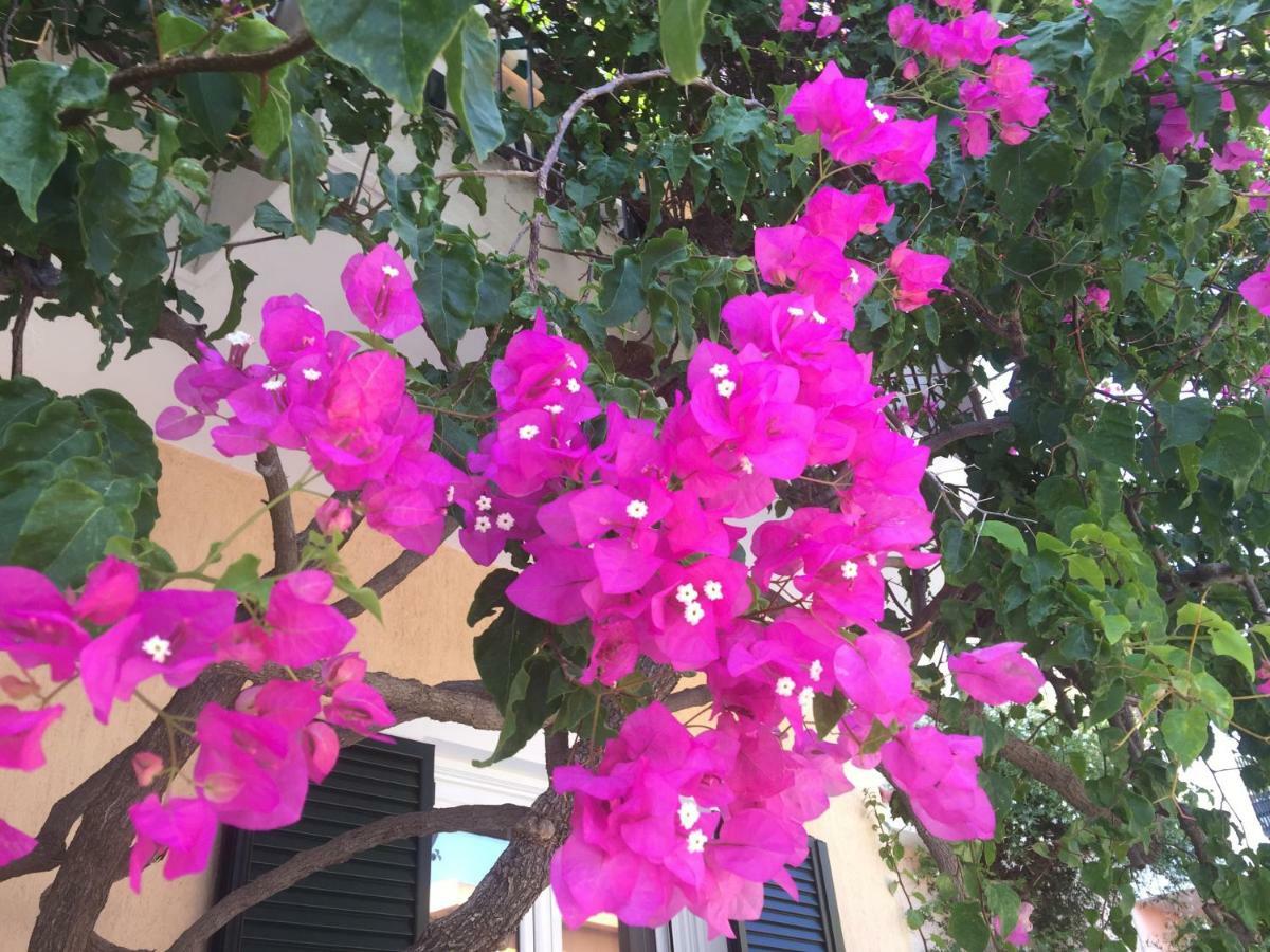 Casa Buganvilla Minia Ngoại thất bức ảnh