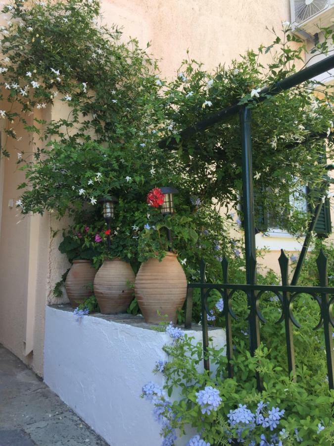 Casa Buganvilla Minia Ngoại thất bức ảnh
